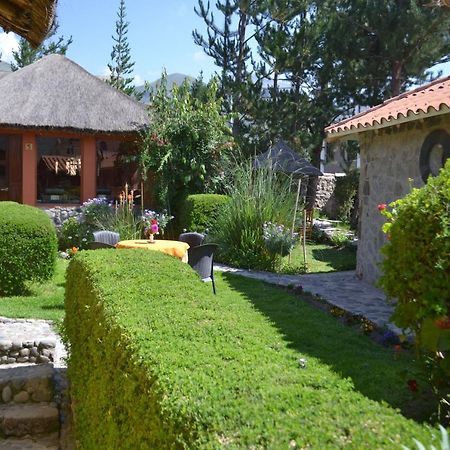Miskiwasi Bed & Breakfast Янке Экстерьер фото