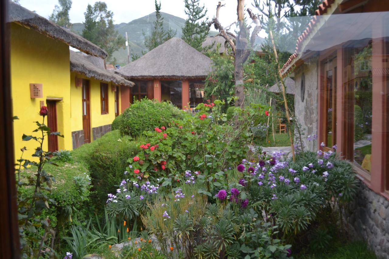 Miskiwasi Bed & Breakfast Янке Экстерьер фото